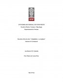 Resenha crítica da obra “Aleijadinho e o aeroplano”