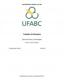 Trabalho Desenvolvimento e Aprendizagem UFABC