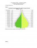 Piramide populacional- epidemiologia