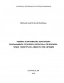 POSICIONAMENTO ESTRATÉGICO, ESTRUTURAS DE MERCADOS, FORÇAS COMPETITIVAS E AMBIENTES DAS EMPRESAS