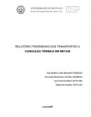 RELATÓRIO FENÔMENOS DOS TRANSPORTES II CONDUÇÃO TÉRMICA EM METAIS