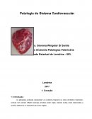 Patologia do Sistema Cardiovascular