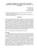 PERCEPÇÃO AMBIENTAL: UM ESTUDO DE CASO COM OS MORADORES DO BAIRRO SANTARÉM, LARANJAL DO JARI - AP III COBEAI