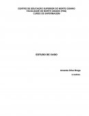 ESTUDO DE CASO: Processo de Enfermagem- Paciente Hemorragia Digestiva Alta (HDA)