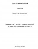 O PAPEL DA POLICIA JUDICIARIA NA PUNIÇÃO E PREVENÇÃO DOS DELITOS