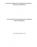 PLANO DE MARKETING E SUA IMPORTÂNCIA PARA O DESEMPENHO COMPETITIVO EMPRESARIAL