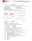 Ficha formativa de Biologia e Geologia 10.º Ano Turma H