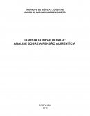 A ANÁLISE SOBRE A PENSÃO ALIMENTÍCIA