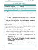 Elaborar Plano de Ação para Empresa Super Insumos