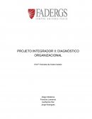 PROJETO INTEGRADOR II: DIAGNÓSTICO ORGANIZACIONAL