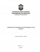 A COMPARAÇÃO DOS PENSAMENTOS DE UM PRÉ-URBANISTA E DE UM URBANISTA