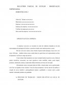 RELATÓRIO PARCIAL DE ESTÁGIO - OBSERVAÇÃO EMPRESARIAL