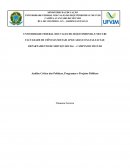 Análise Crítica das Políticas, Programas e Projetos Públicos