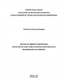 ANÁLISE DE AMBIENTE EMPRESARIAL UM ESTUDO DE CASO COM OS ARTISTAS SERTANEJOS DA MICRORREGIÃO DE CAMPINAS