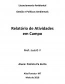 LICENCIAMENTO E GESTÃO AMBIENTAL E DE POLITICAS PUBLICAS