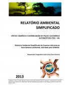 Relatório Ambiental Simplificado