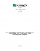 FICHAMENTO SOBRE O TEXTO "O SIGNIFICADO DE UM DIREITO DE ACESSO EFETIVO À JUSTIÇA: OS OBSTÁCULOS A SEREM TRANSPOSTOS"