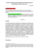 REVISÃO LITERÁRIA SOBRE ABSENTEÍSMO DOS PROFISSIONAIS DE ENFERMAGEM NO AMBITO HOSPITALAR