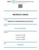 PRINCÍPIO DE FUNCIONAMENTO DA BICICLETA