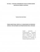 TRABALHADOR RURAL EVENTUAL E A EQUIPARAÇÃO AO SEGURADO ESPECIAL PARA OBTENÇÃO DE APOSENTADORIA RURAL POR IDADE