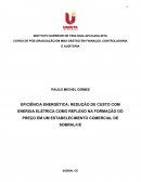 EFICIÊNCIA ENERGÉTICA: REDUÇÃO DE CUSTO COM ENERGIA ELÉTRICA COMO REFLEXO NA FORMAÇÃO DO PREÇO EM UM ESTABELECIMENTO COMERCIAL DE SOBRAL/CE