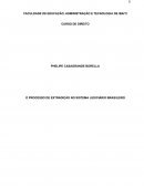 O PROCESSO DE EXTRADIÇÃO NO SISTEMA JUDICIÁRIO BRASILEIRO