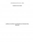 AUDIÊNCIA DE CUSTÓDIA E SUA IMPORTÂNCIA NO PROCESSO PENAL BRASILEIRO