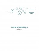 Atividade Individual FGV Plano de Marketing MADERO