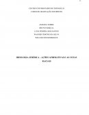 IDEOLOGIA JURÍDICA – AÇÕES AFIRMATIVAS E AS COTAS RACIAIS