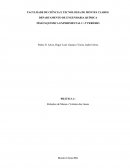 Relatório Experimental - Relações de massa e volume dos gases.