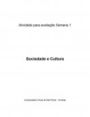 Atividade Para Avaliação Semana Sociedade e Cultura