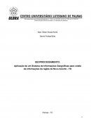 Aplicação de um Sistema de Informações Geográficas para Coleta de Informações da Região de Novo Acordo - TO