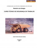 Relatório de Estagio de Técnico em Segurança do Trabalho