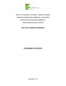 DISCIPLINA DE ECONOMIA AMBIENTAL PROFESSORA NATÁLIA DUARTE