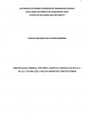 IDENTIFICAÇÃO CRIMINAL, POR PERFIL GENÉTICO, PREVISTA NO ART.9º-A, DA LEI 7.210/1984 (LEP), FACE AS GARANTIAS CONSTITUCIONAIS