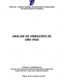 ANÁLISE DE VIBRAÇÕES DE UMA VIGA