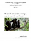 Modelos de primatas para a evolução do comportamento social humano