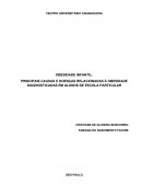 PRINCIPAIS CAUSAS E DOENÇAS RELACIONADAS À OBESIDADE DIAGNOSTICADAS EM ALUNOS DE ESCOLA PARTICULAR