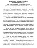 RESENHA CRÍTICA - ADMINISTRAÇÃO CIENTÍFICA