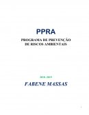 PPRA PROGRAMA DE PREVENÇÃO DE RISCOS AMBIENTAIS