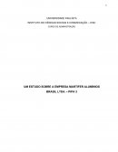 UM ESTUDO SOBRE A EMPRESA MARTIFER ALUMÍNIOS BRASIL LTDA. – PIPA 3