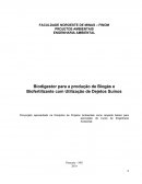 Biodigestor para a Produção de Biogás e Biofertilizante com Utilização de Dejetos Suínos