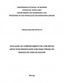 AVALIAÇÃO DO COMPORTAMENTO DE CONCRETOS ASFÁLTICOS MODIFICADOS COM CINZA PESADA DO BAGAÇO DE CANA-DE-AÇÚCAR