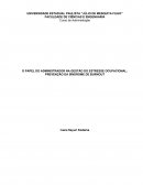 O PAPEL DO ADMINISTRADOR NA GESTÃO DO ESTRESSE OCUPACIONAL: PREVENÇÃO DA SÍNDROME DE BURNOUT