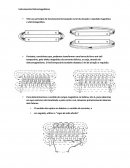 Os Instrumentos Eletromagnéticos