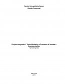 Trade Marketing e Processo de Vendas e Representações Ypê Detergentes