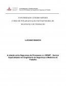 TCC - A relação entre Segurança de Processos e o SESMT