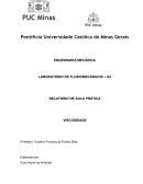 Relatório de Fluidomecânicos - Prática 01 - Viscosidade