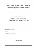 EMPREENDEDORISMO PRINCIPAL FACTOR PROMOTOR DO DESENVOLVIMENTO ECONOMICO DE UM PAÍS