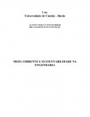 O MEIO AMBIENTE E SUSTENTABILIDADE NA ENGENHARIA